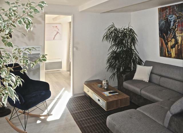 Gite, Location Meuble De Tourisme 3 Etoiles Châtillon-Coligny Zewnętrze zdjęcie